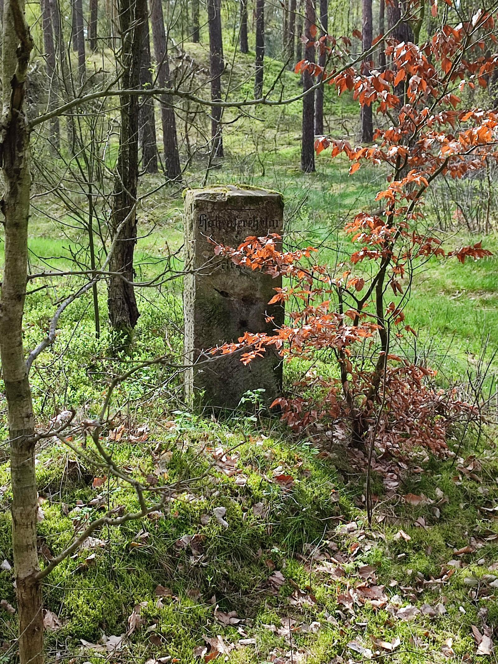 Eine Wegmarkierung mitten im Wald