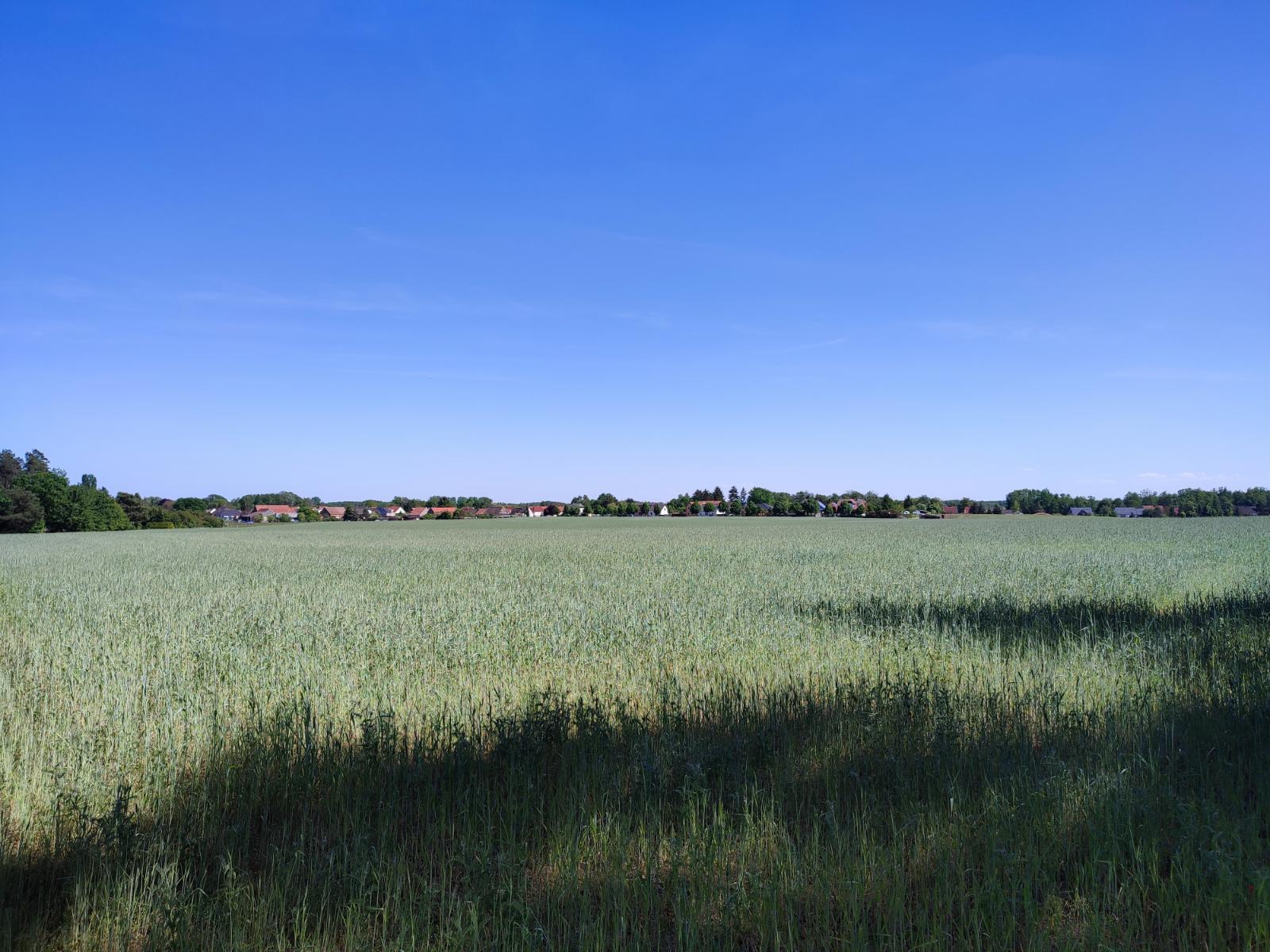 Blick über die Felder südlich von Brandenburg