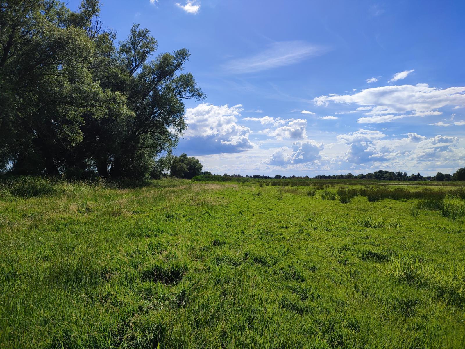 Hier sollte ein Weg sein&hellip;